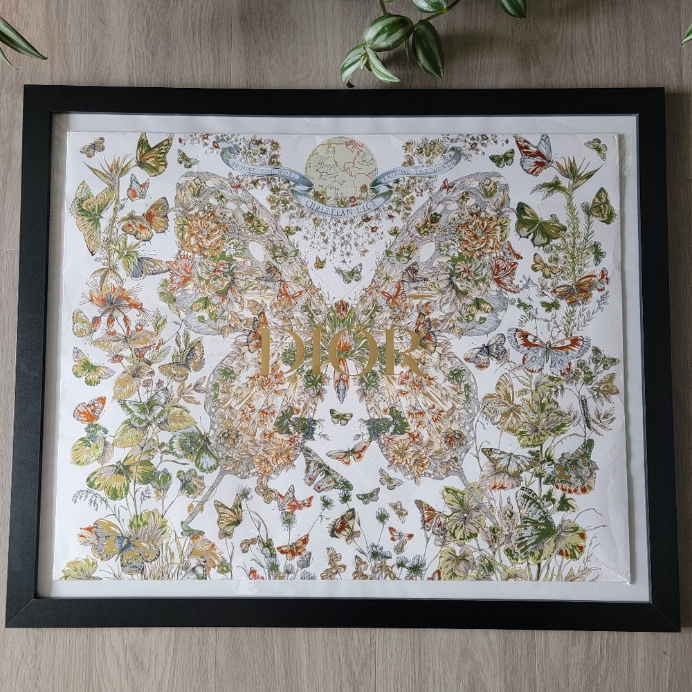 Extra Large Limited Edition Authentic Dior Butterfly Shopping Bag Framed - Picture 12 of 12
